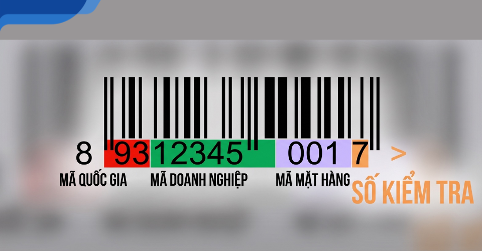 ví dụ minh họa GTIN