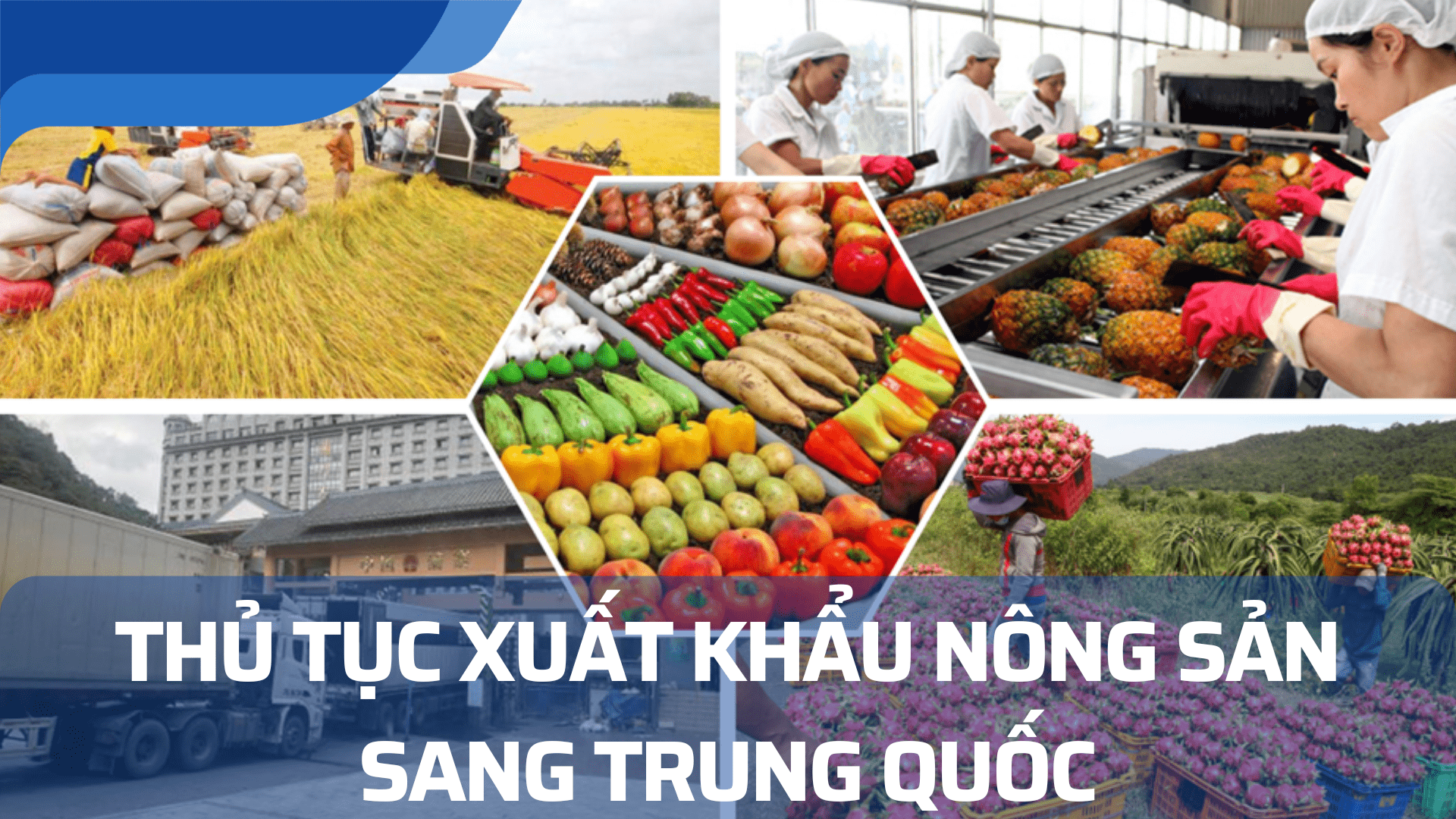 xuất keo nha cai euro nông sản