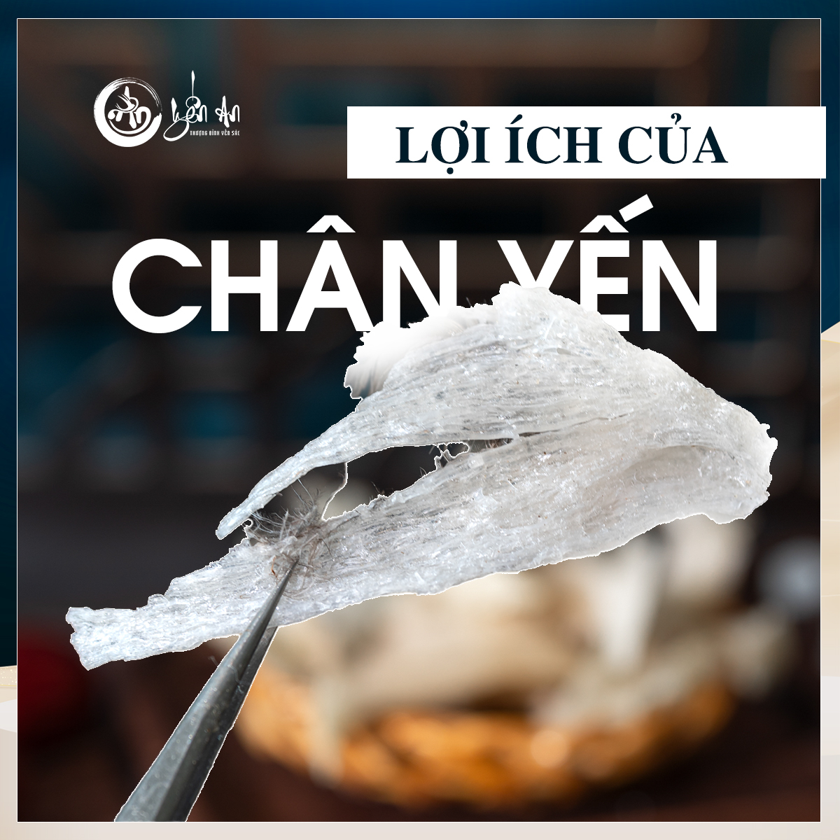 Lợi ích đặc biệt của chân yến mà bạn không thể bỏ qua