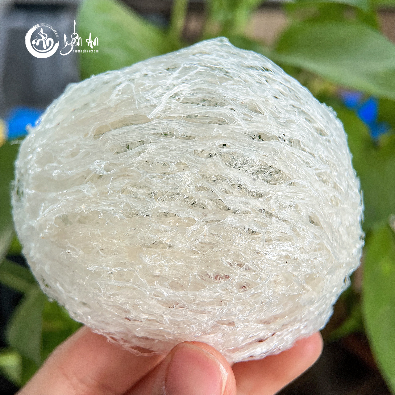 [Yến An] - Yến Tinh Chế - Rút Lông 90% Sợi