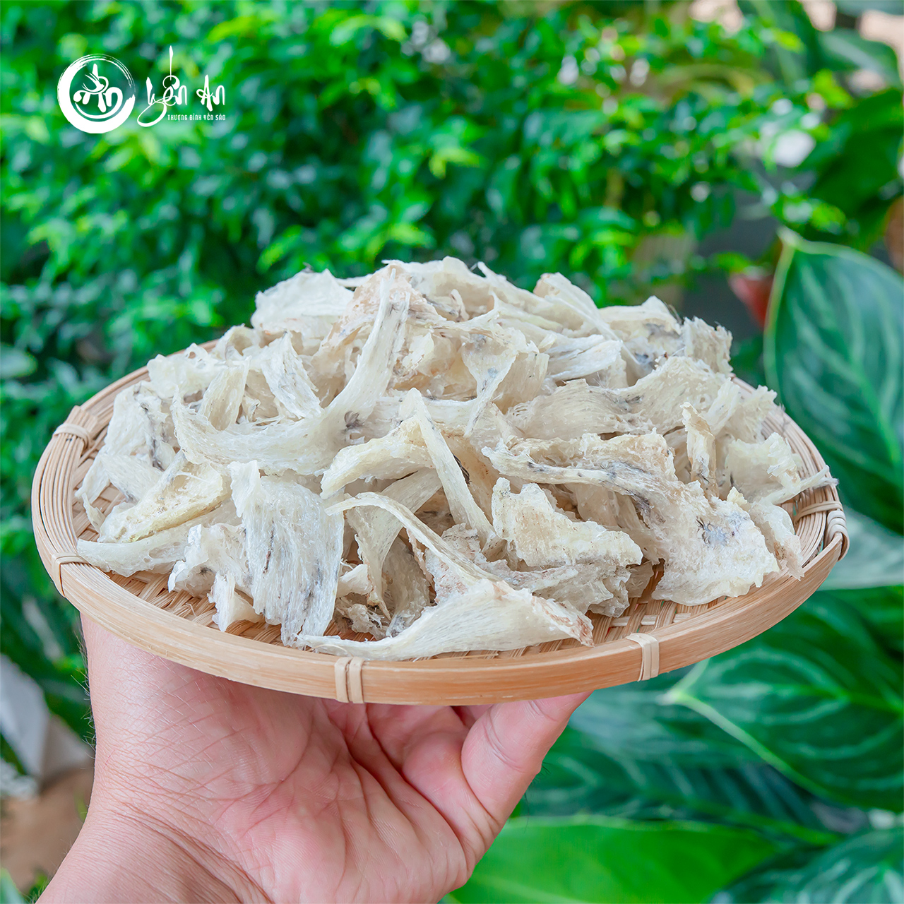 [Yến An] - Chân Yến Thô