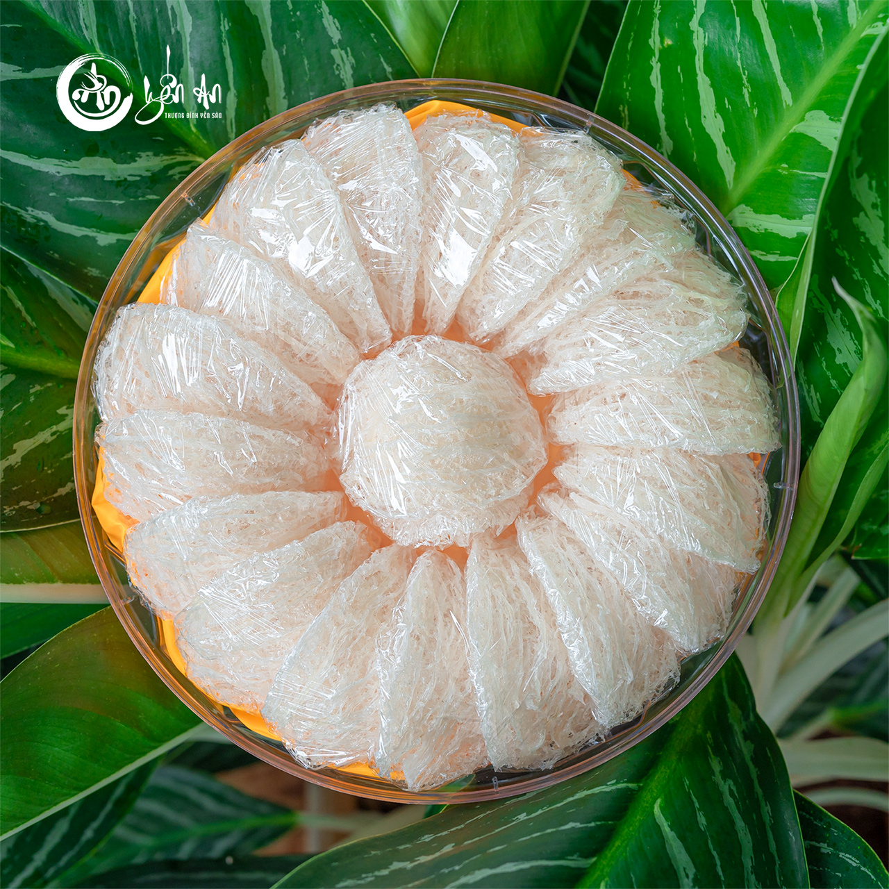 [Yến An] - Yến Tinh Chế - Loại 2 (20 Tổ)