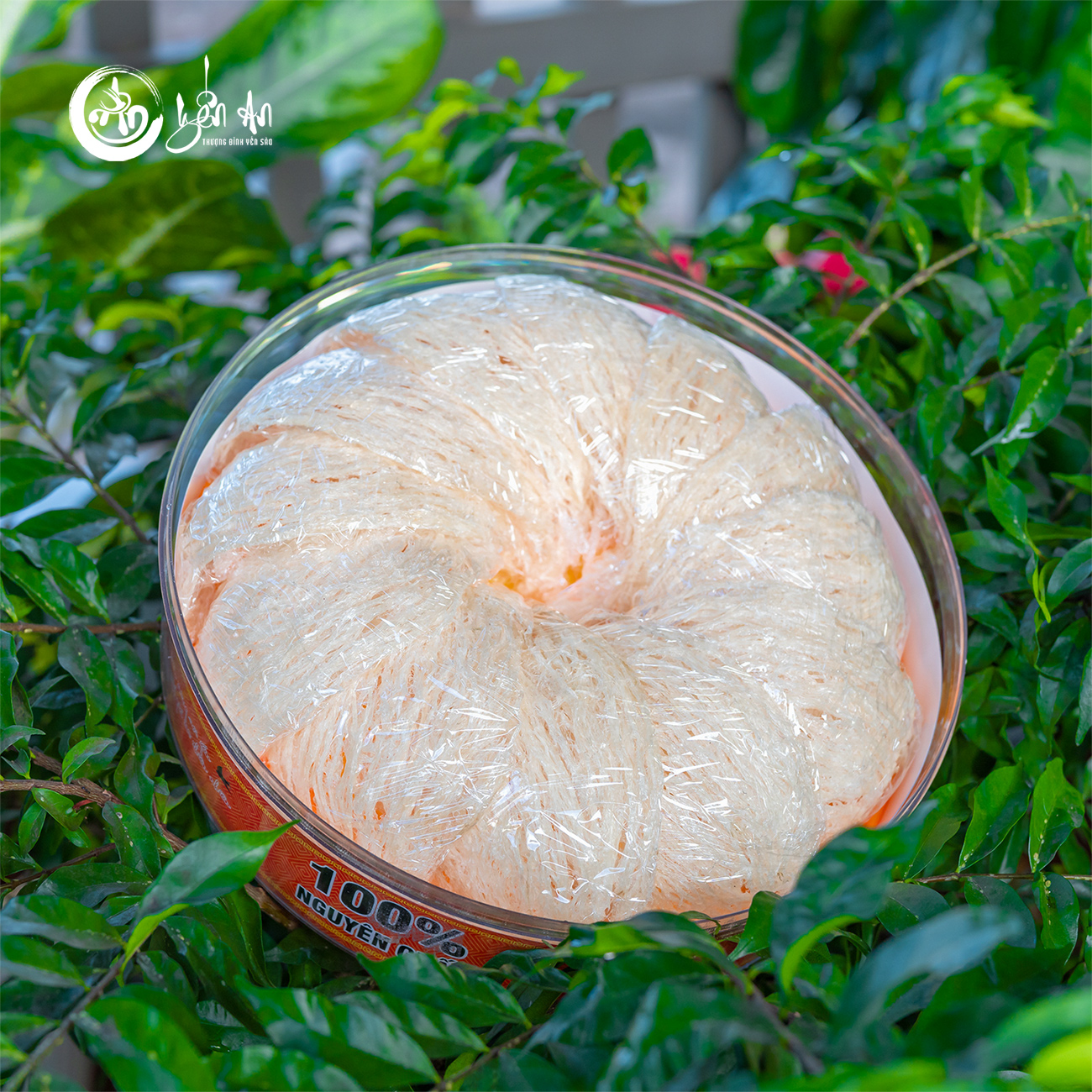 [Yến An Tặng Đường] - Yến Tinh Chế - Rút Lông 99% Sợi loại 100g tặng Đường thốt nốt 150g