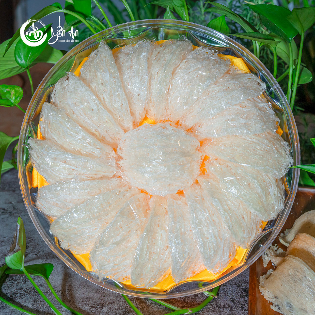 [Yến An] - Yến Tinh Chế - Loại 2 (20 Tổ)