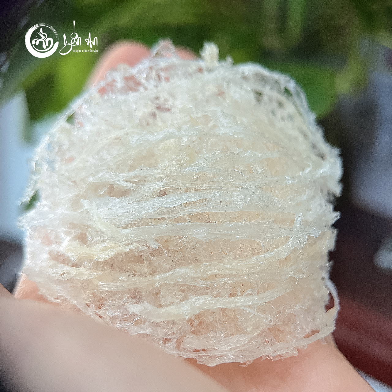 [Yến An] - Yến Tinh Chế - Loại 2 (20 Tổ)