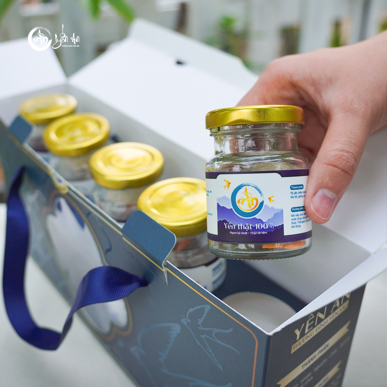 [Yến An] - Set Hũ Yến Tự Chưng