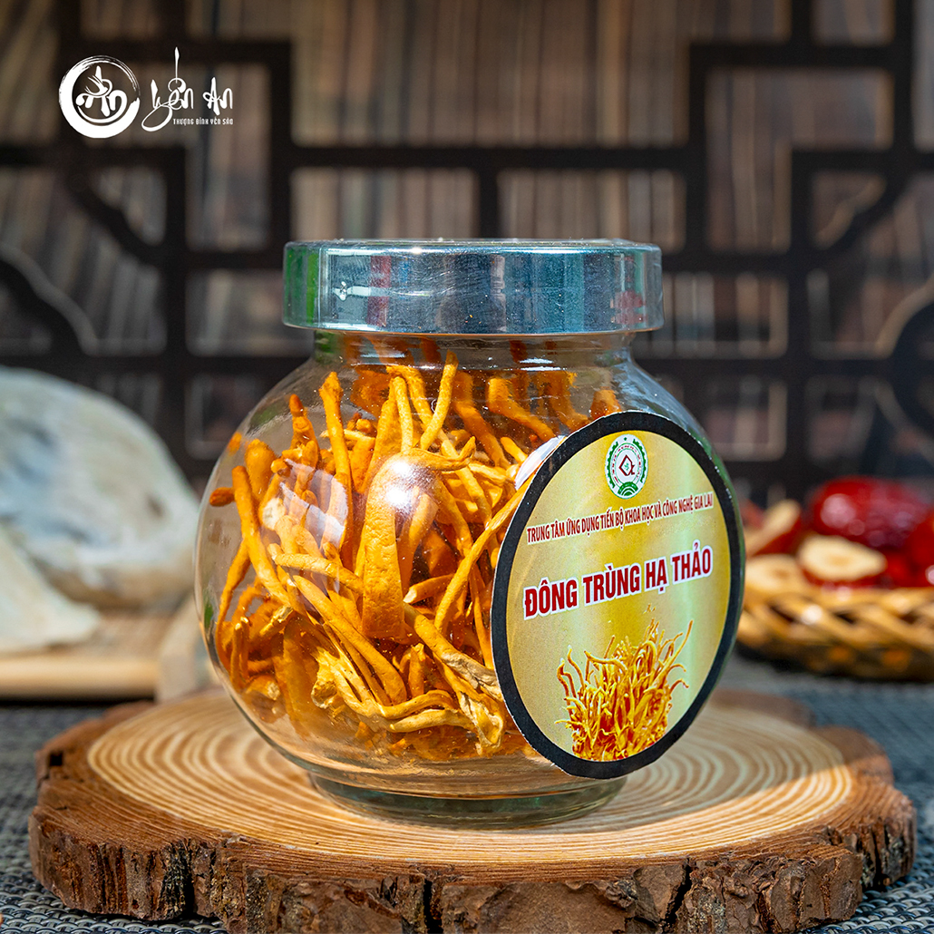 [Yến An] - Đông Trùng Hạ Thảo