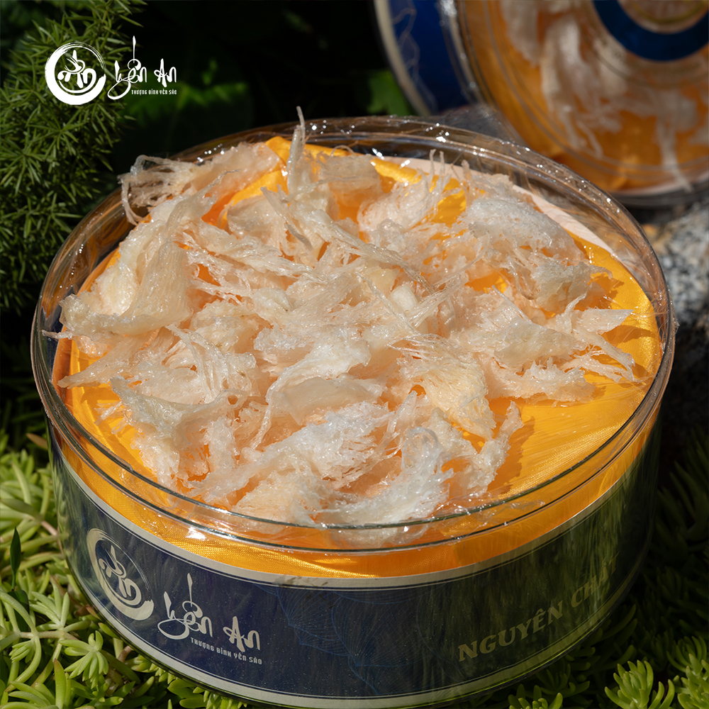 [Yến An Tặng Đường] - Yến Tinh Chế - Chân Sạch Nhỏ loại 100g tặng Đường thốt nốt 150g