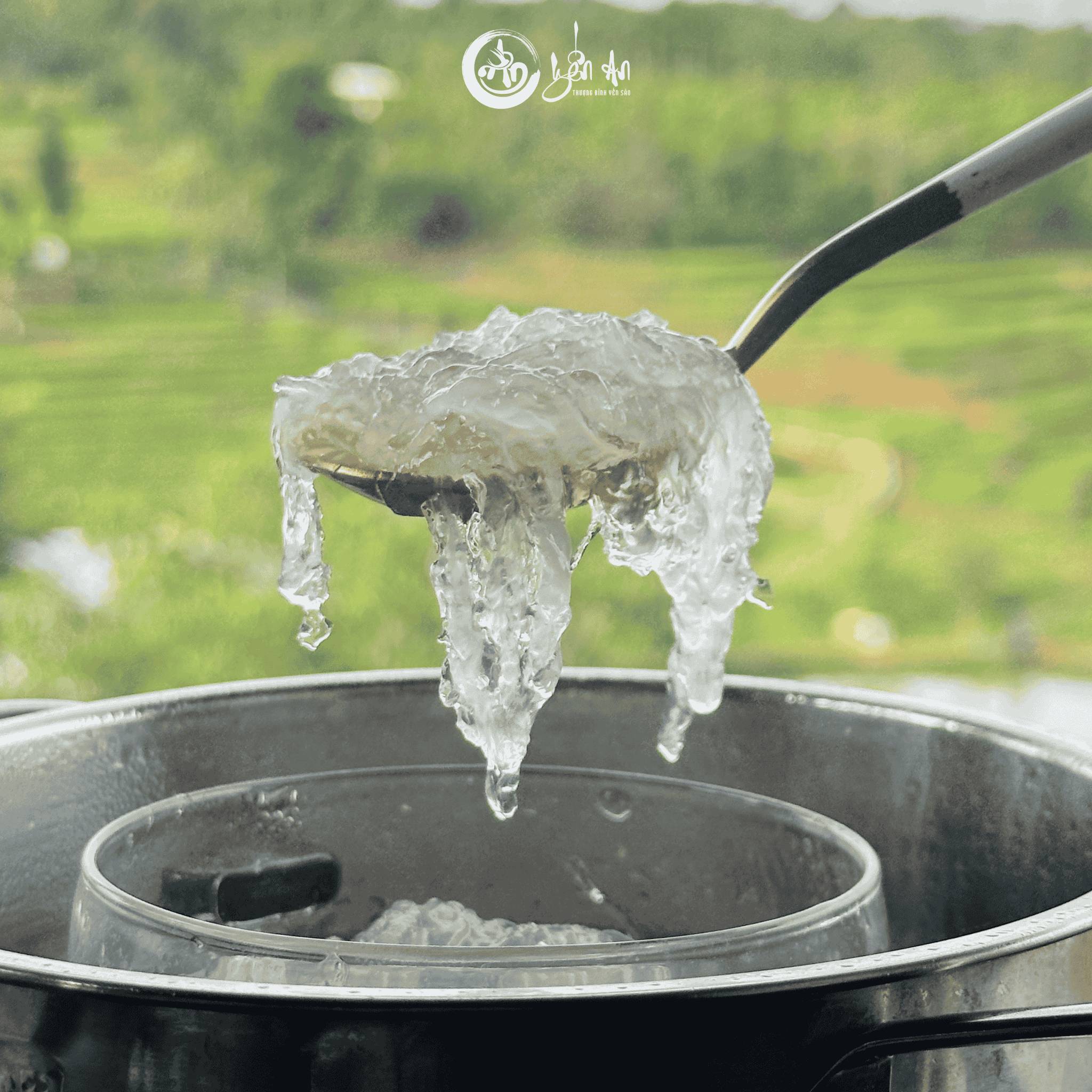 [Yến An] - Yến Tinh Chế - Loại 2 (20 Tổ)