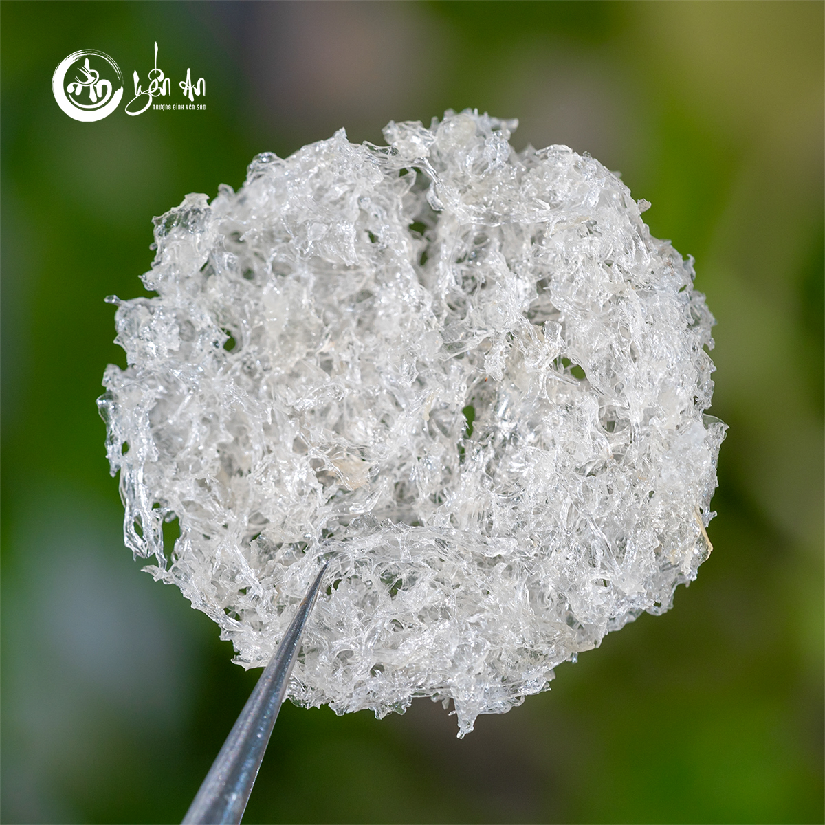 [Yến An] - Yến Tinh Chế - Xơ Mướp Viên