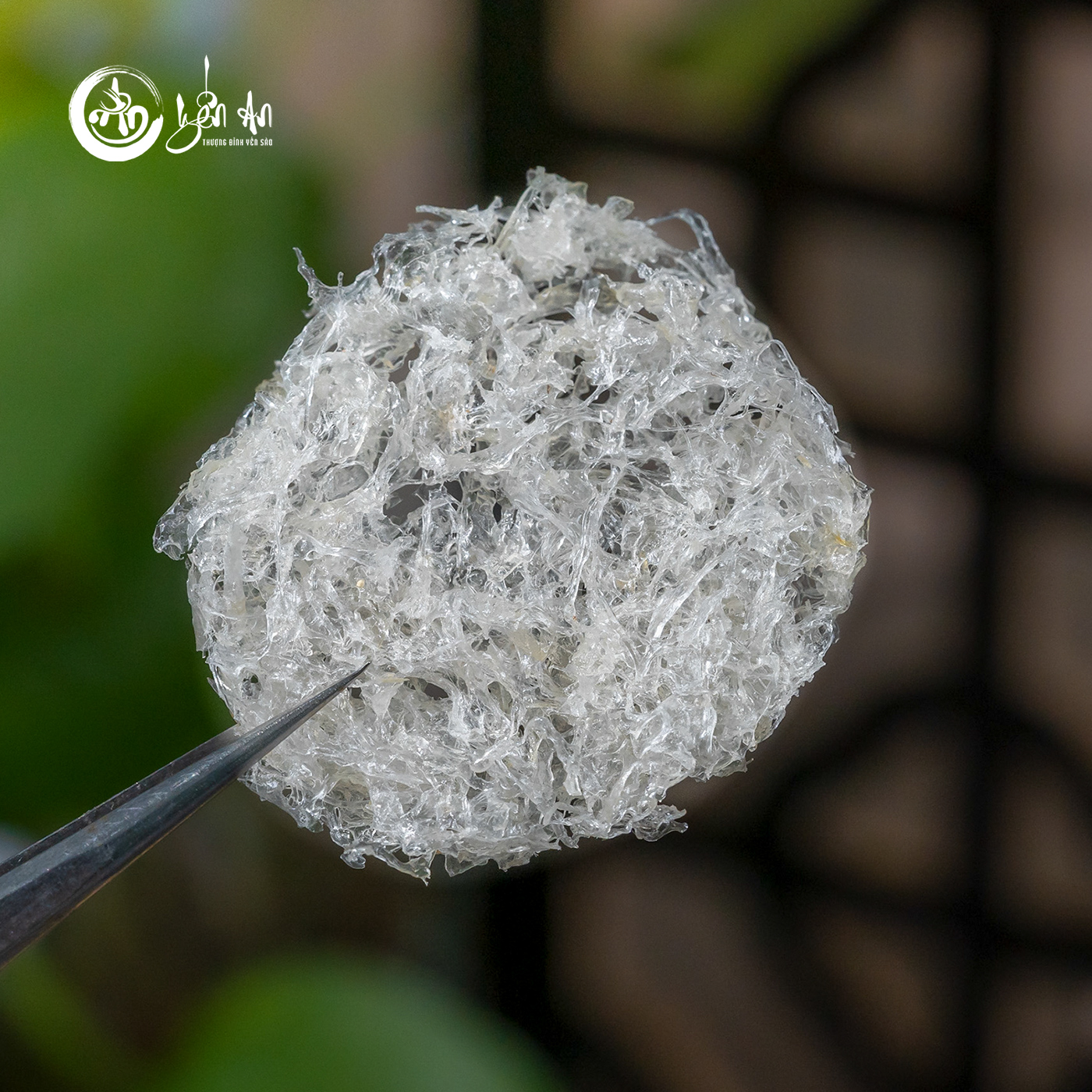 [Yến An] - Yến Tinh Chế - Xơ Mướp Viên
