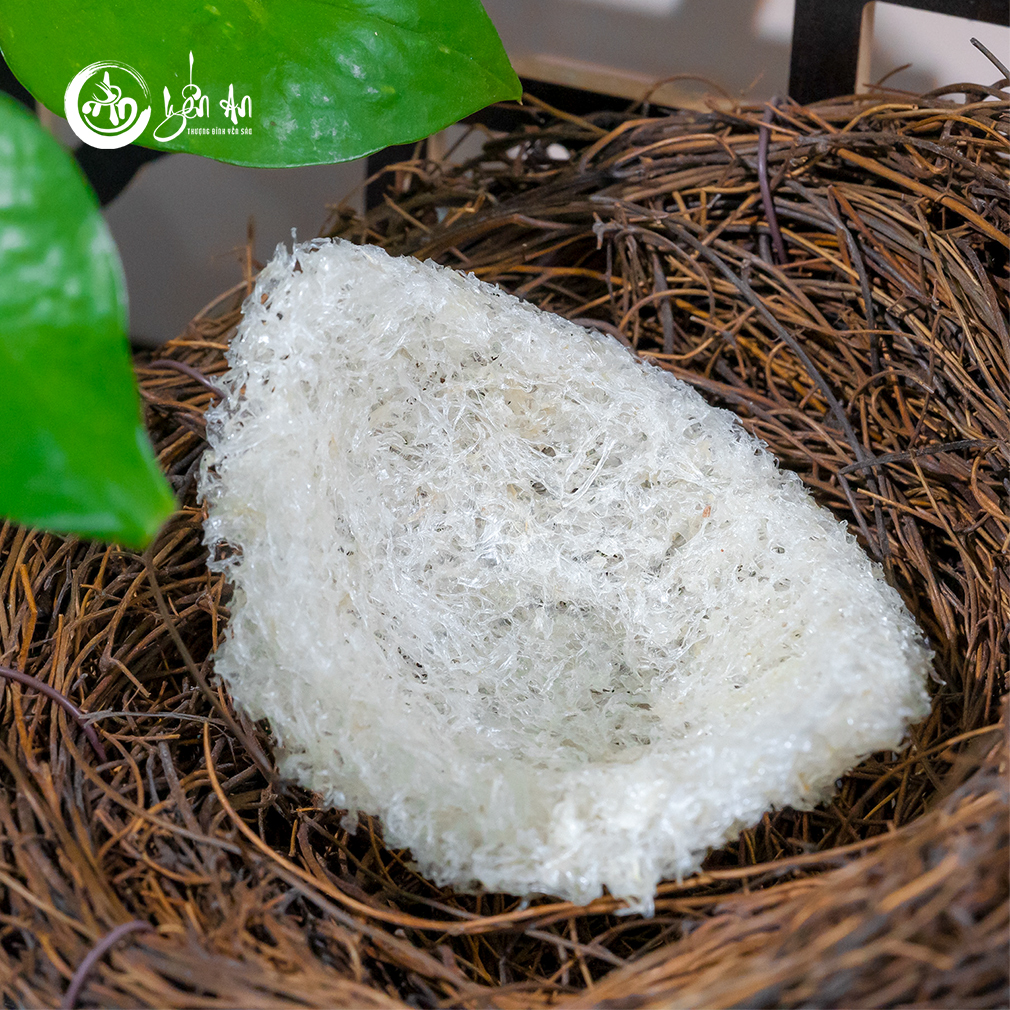 [Yến An] - Yến Tinh Chế - Xơ Mướp Tổ