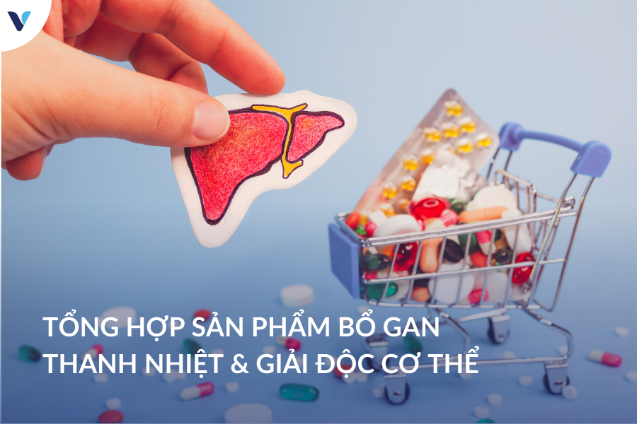 Tổng hợp sản phẩm bổ gan, giải độc, thanh nhiệt cơ thể chính hãng được tin dùng