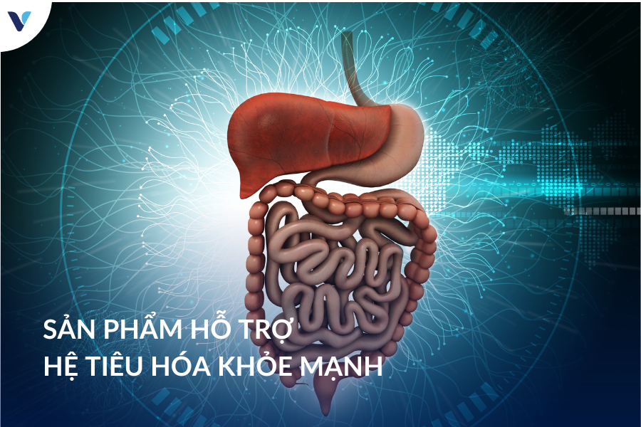 Sản phẩm hỗ trợ hệ tiêu hóa khỏe mạnh nhập khẩu chính hãng từ Hoa Kỳ