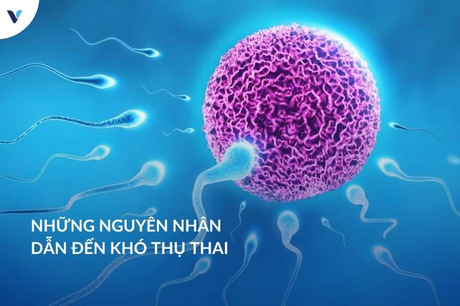 Những nguyên nhân có thể bạn không ngờ tới dẫn đến khó thụ thai