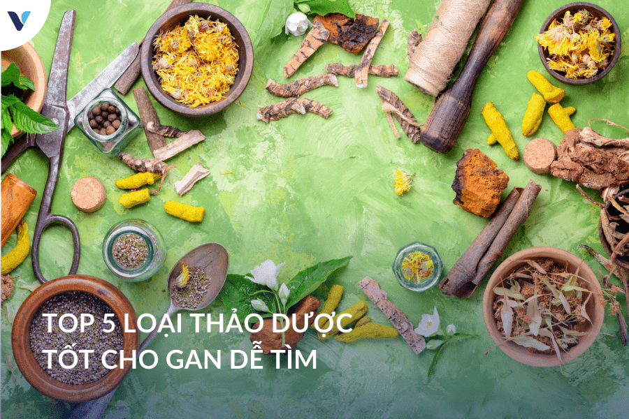 Top 5 loại thảo dược tốt cho gan dễ tìm