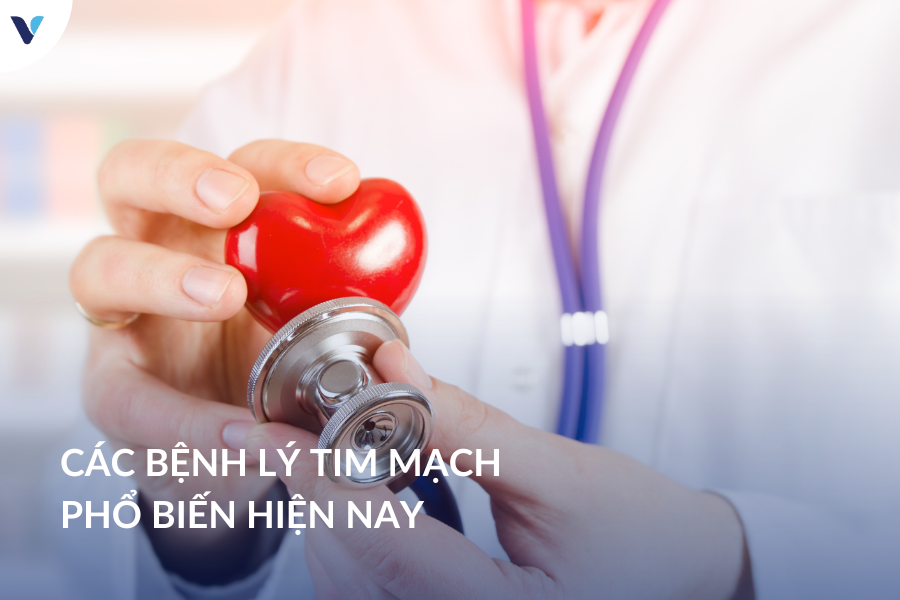 Các bệnh lý tim mạch phổ biến hiện nay