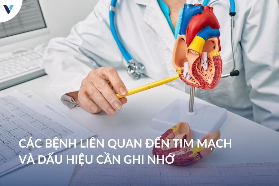 Các bệnh liên quan đến tim mạch và dấu hiệu cần ghi nhớ