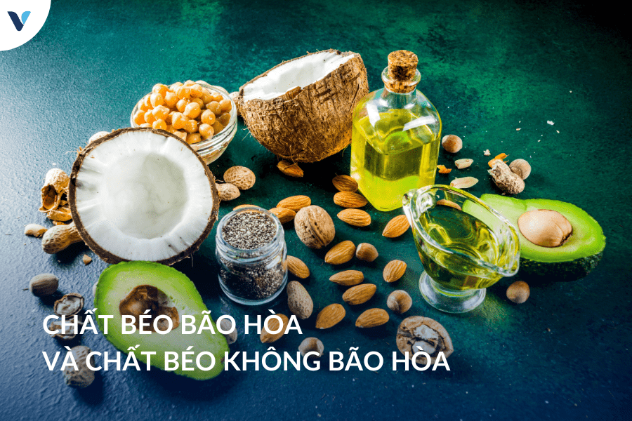 Chất béo bão hòa và chất béo không bão hòa