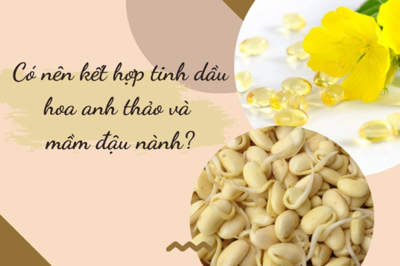 Có nên sử dụng kết hợp hoa anh thảo và mầm đậu nành không?