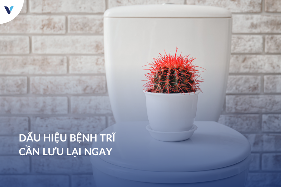 Dấu hiệu bệnh trĩ cần lưu lại ngay