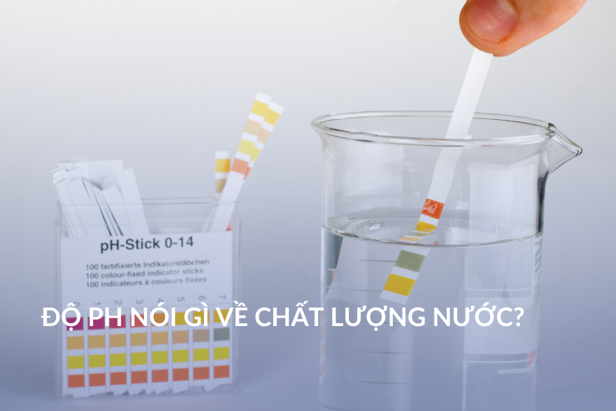 Độ pH nói gì về chất lượng nước?