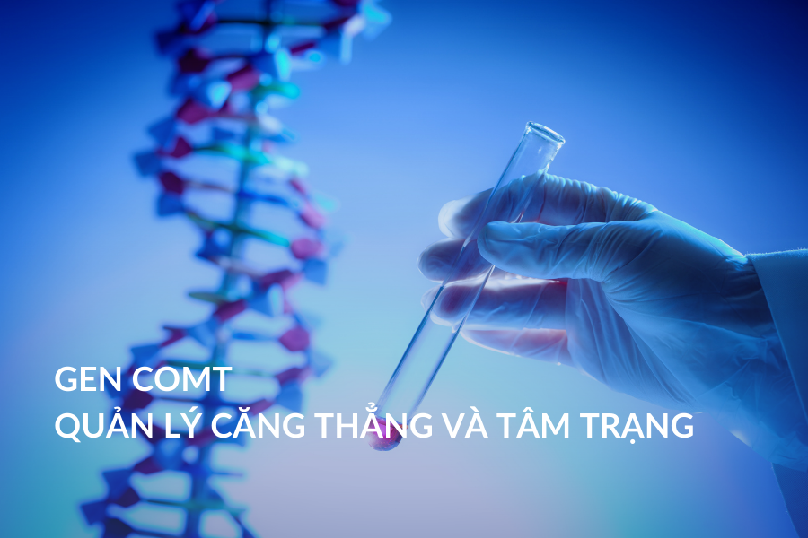 Gen COMT - Quản lý căng thẳng và tâm trạng