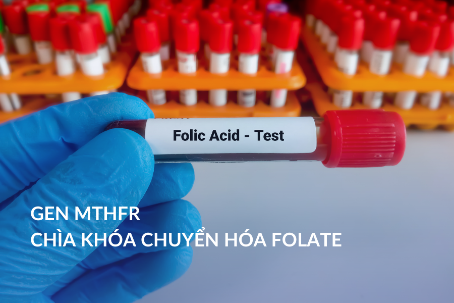 Gen MTHFR – Chìa khóa chuyển hóa Folate