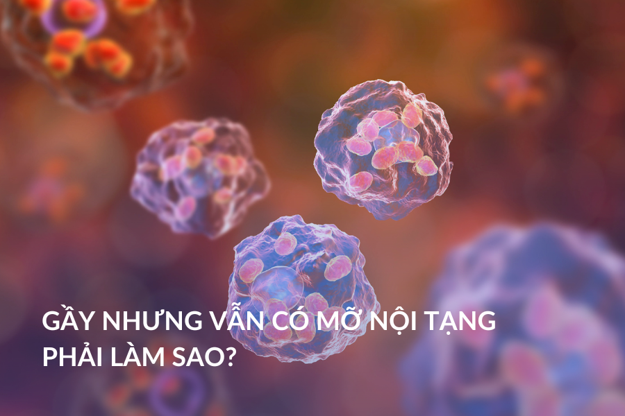 Gầy nhưng vẫn có mỡ nội tạng phải làm sao?