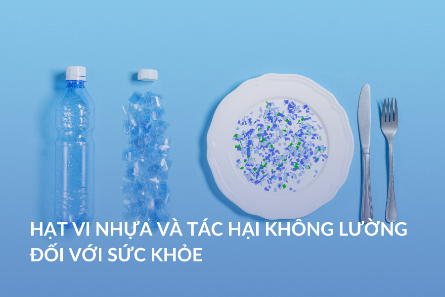 Hạt vi nhựa và tác hại không lường đối với sức khỏe