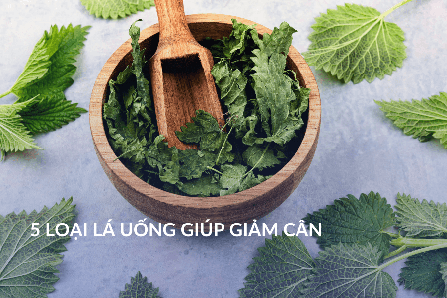 5 loại lá uống giúp giảm cân
