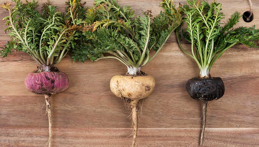 Bật mí loại thảo dược quý chị em tiền mãn kinh không thể bỏ qua