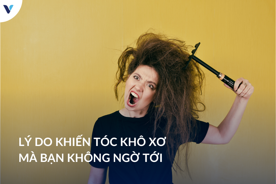 Lý do khiến tóc khô xơ mà bạn không ngờ tới