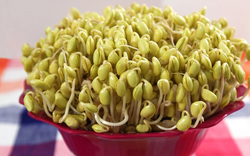 Sử dụng mầm đậu nành có làm tăng kích thước khối u không?