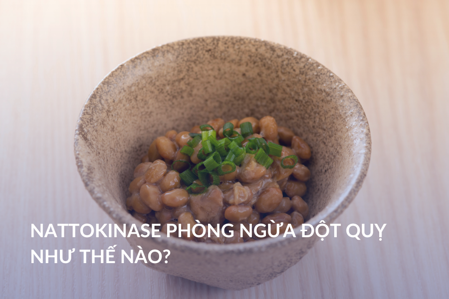 Nattokinase phòng ngừa đột quỵ như thế nào?