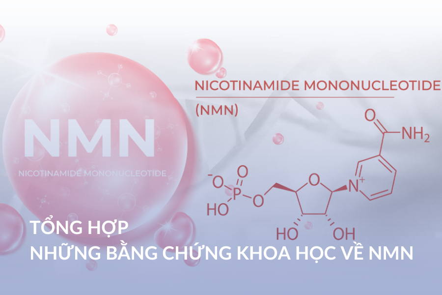 Tổng hợp những bằng chứng khoa học về NMN