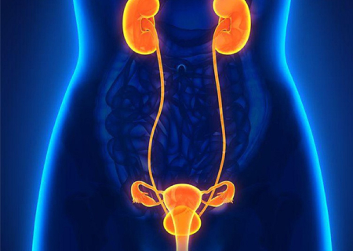 Nhiễm trùng đường tiết niệu: Nguyên nhân & Cách điều trị