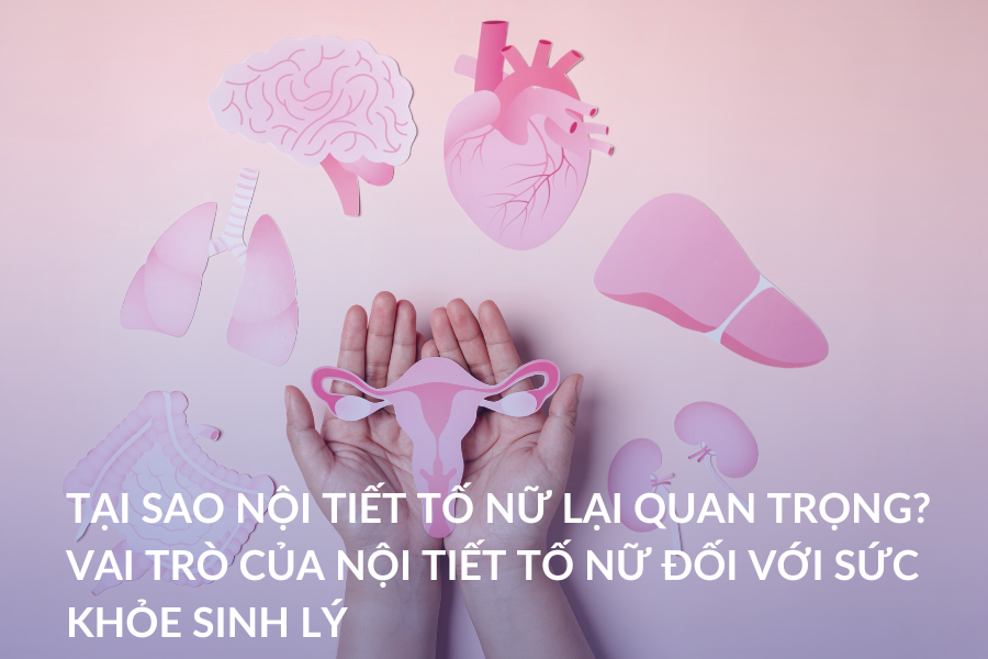 Tại sao nội tiết tố nữ lại quan trọng? Vai trò của nội tiết tố nữ đối với sức khỏe sinh lý