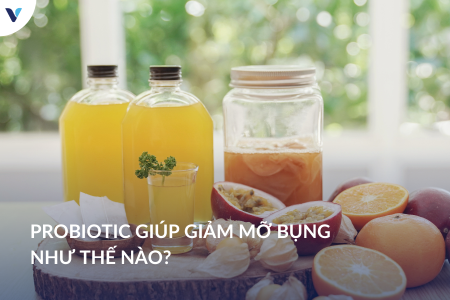 Probiotic giúp giảm mỡ bụng như thế nào?