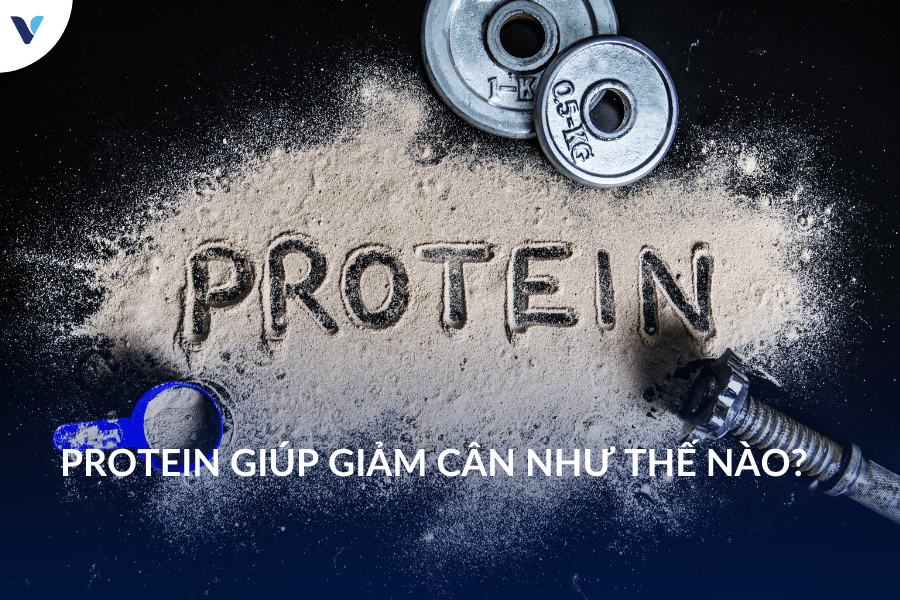 Protein giúp giảm cân như thế nào?