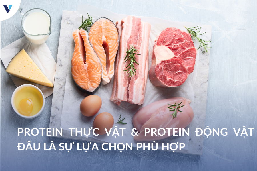 Protein thực vật & Protein động vật: Đâu là sự lựa chọn phù hợp