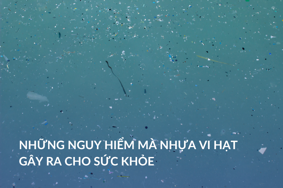 Những nguy hiểm mà nhựa vi hạt gây ra cho sức khỏe