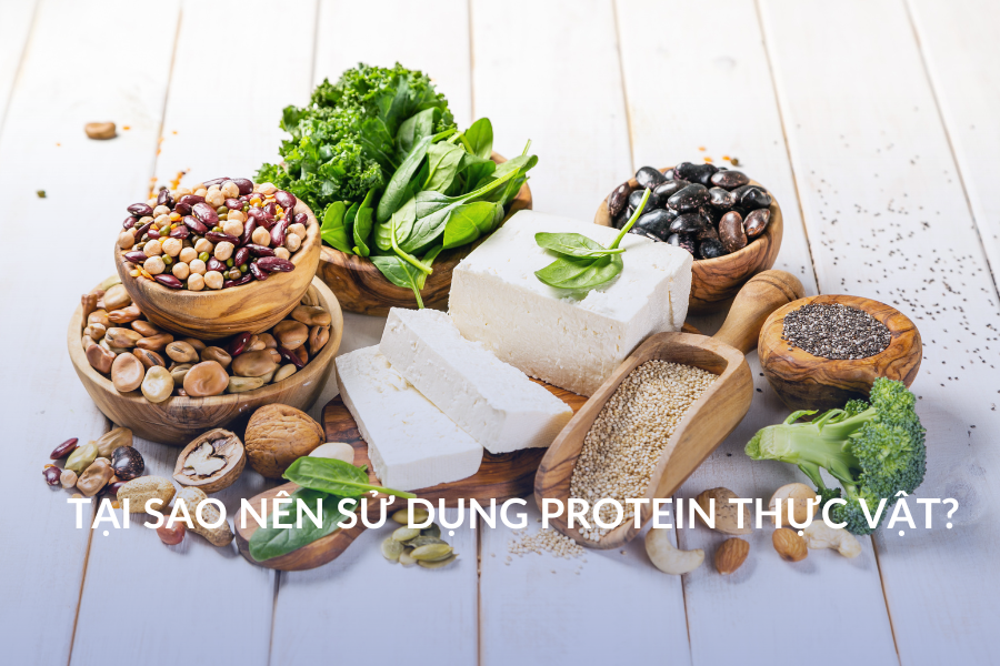Tại sao nên sử dụng protein thực vật?