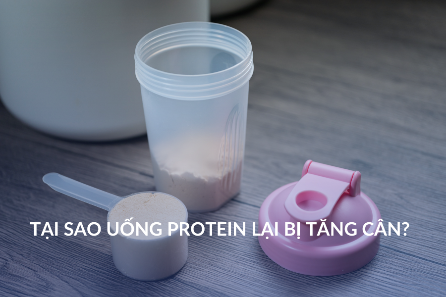 Tại sao uống Protein lại bị tăng cân?