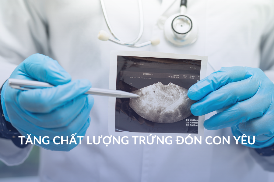 Tăng chất lượng trứng đón con yêu