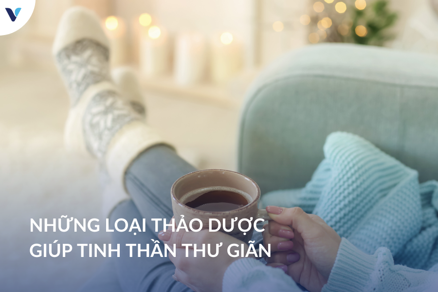 Những loại thảo dược giúp tinh thần thư giãn dành cho mùa chạy deadline