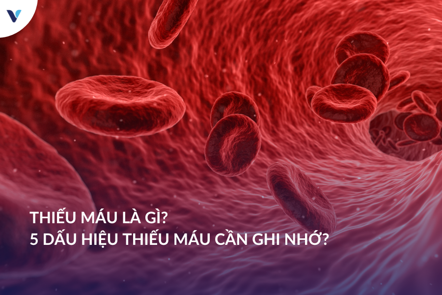 Thiếu máu là gì? 7 Dấu hiệu thiếu máu cần ghi nhớ?