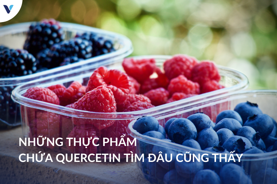 Những thực phẩm chứa Quercetin tìm đâu cũng thấy