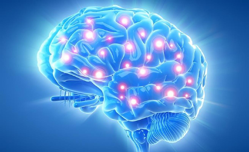 Tổng hợp 4 loại thực phẩm chức năng bổ não tốt nhất hiện nay