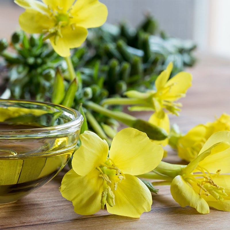 Tinh dầu hoa anh thảo mang đến những tác dụng tích cực cho mẹ bầu
